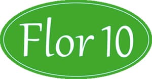 Logo Flor 10