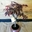 Bonsai Acer palmatum o Arce - Imagen 1