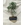 Bonsai Ficus - Imagen 1