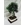 Bonsai Olivo 9 años - Imagen 2