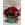 Caja de Rosas rojas - Imagen 1