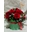 Caja de Rosas rojas - Imagen 1