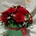 Caja de Rosas rojas - Imagen 1