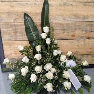 Bambú Flores. Tu floristería online en Ferrol y Narón.