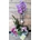 Cesta de plantas variadas - Imagen 1