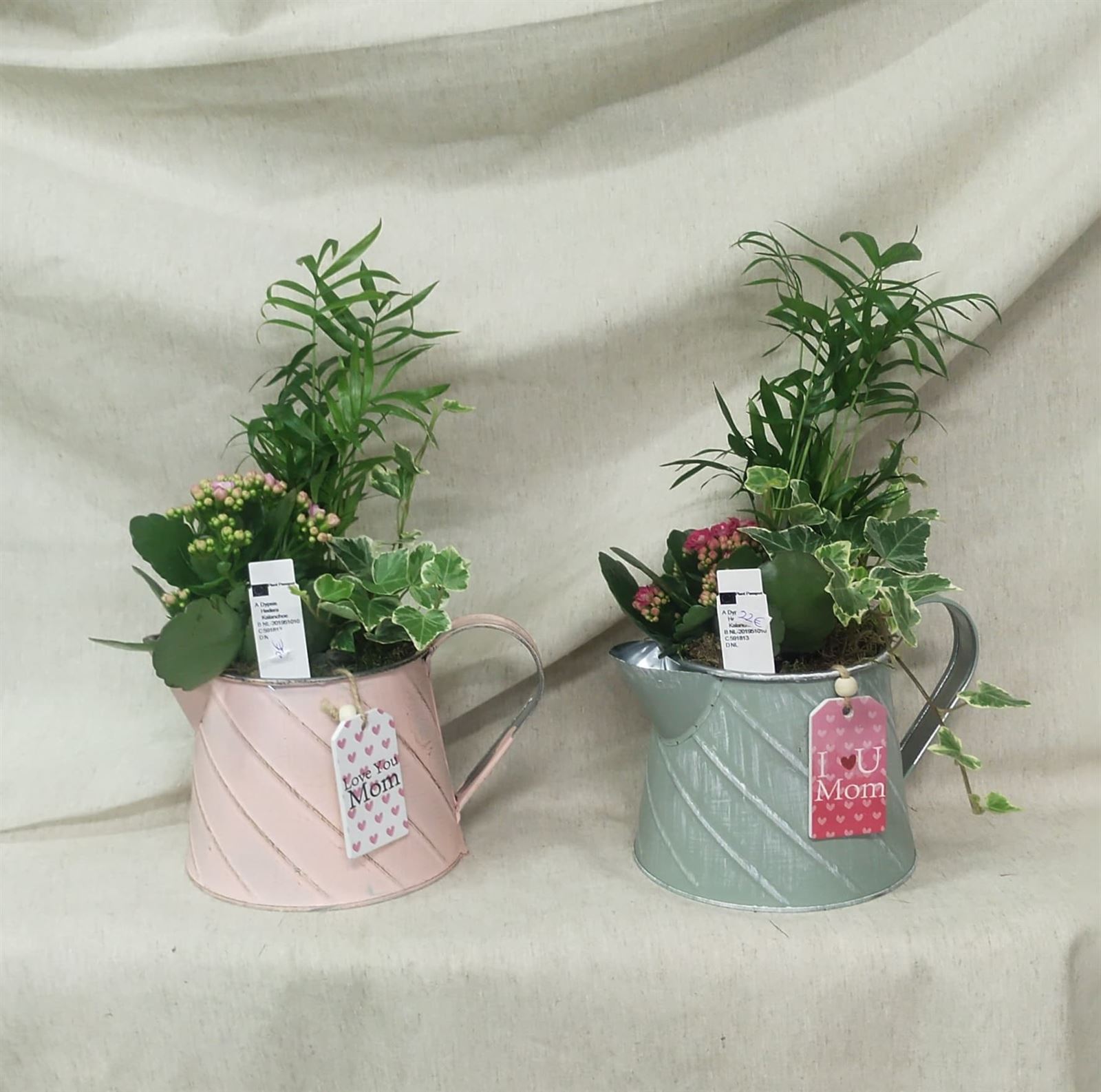 Composicion plantas jarra zinc - Imagen 1