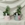 Composicion plantas jarra zinc - Imagen 1