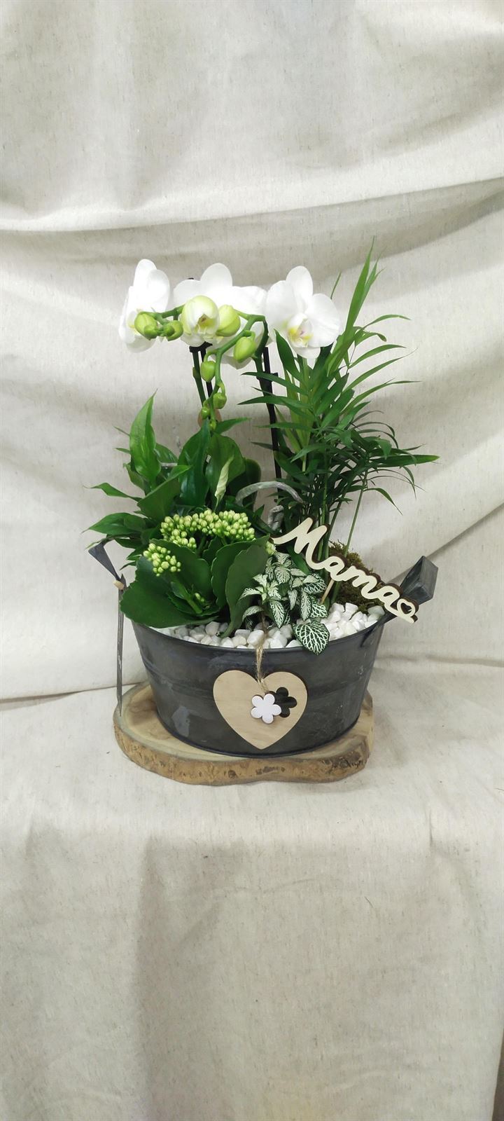 Composicion plantas zinc - Imagen 1