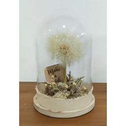 Cúpula deseos - Imagen 1