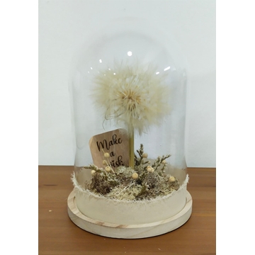 Cúpula deseos - Imagen 1