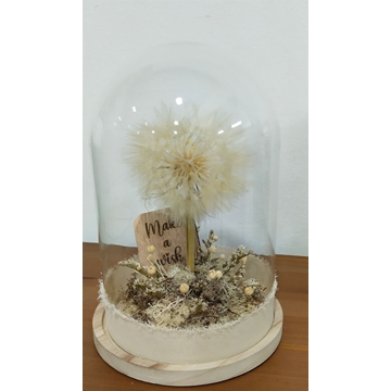 Cúpula deseos - Imagen 2