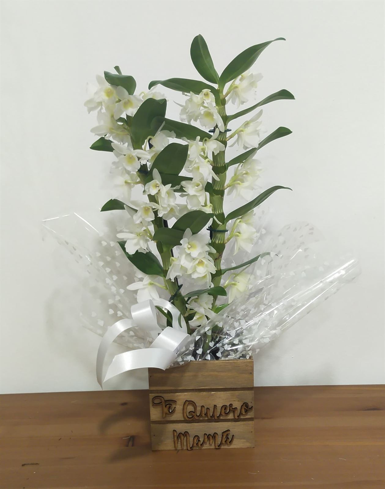 Dendrobium caja "te quiero mamá" - Imagen 1