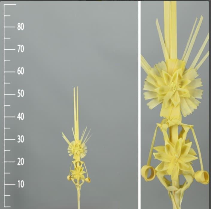 Palma blanca colgantes trenzada - Imagen 1
