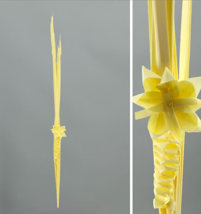 Palma blanca estrella lisa - Imagen 1