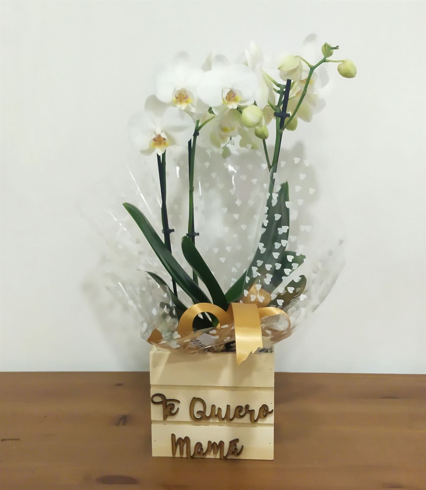 Phalaenopsis caja "te quiero mamá" - Imagen 1