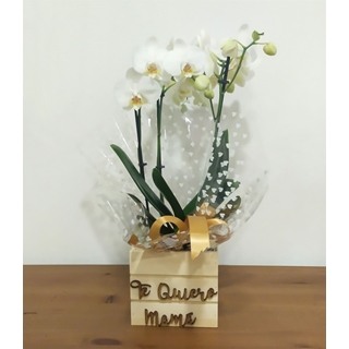 Phalaenopsis caja "te quiero mamá" - Imagen 1