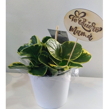 Pick Te quiero mamá redondo - Imagen 2