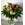 Ramo alstroemerias - Imagen 2