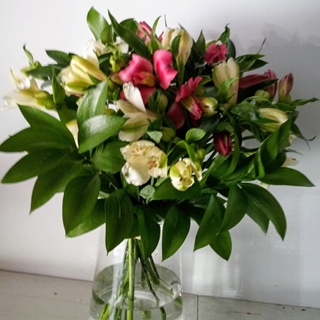 Bambú Flores. Tu floristería online en Ferrol y Narón.