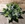 Ramo con lillium - Imagen 2