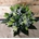 Ramo con lillium - Imagen 2