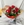 Ramo de 12 rosas - Imagen 1