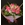 Ramo de 8 rosas - Imagen 1
