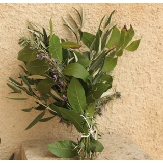 Ramo de laurel y oliva - Imagen 1