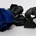 Rosa Eterna Azul (corta) - Imagen 2