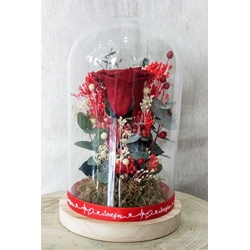 Rosa eterna Bella y Bestia - Imagen 1