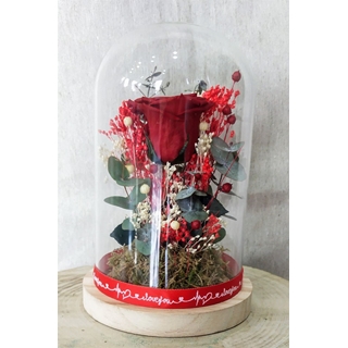 Rosa eterna Bella y Bestia - Imagen 1