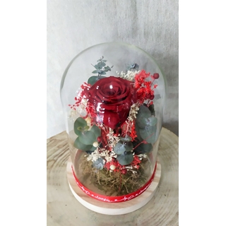 Rosa eterna Bella y Bestia - Imagen 2