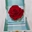Rosa eterna en caja - Imagen 1