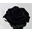 Rosa Eterna Negra (corta) - Imagen 1
