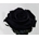 Rosa Eterna Negra (corta) - Imagen 1